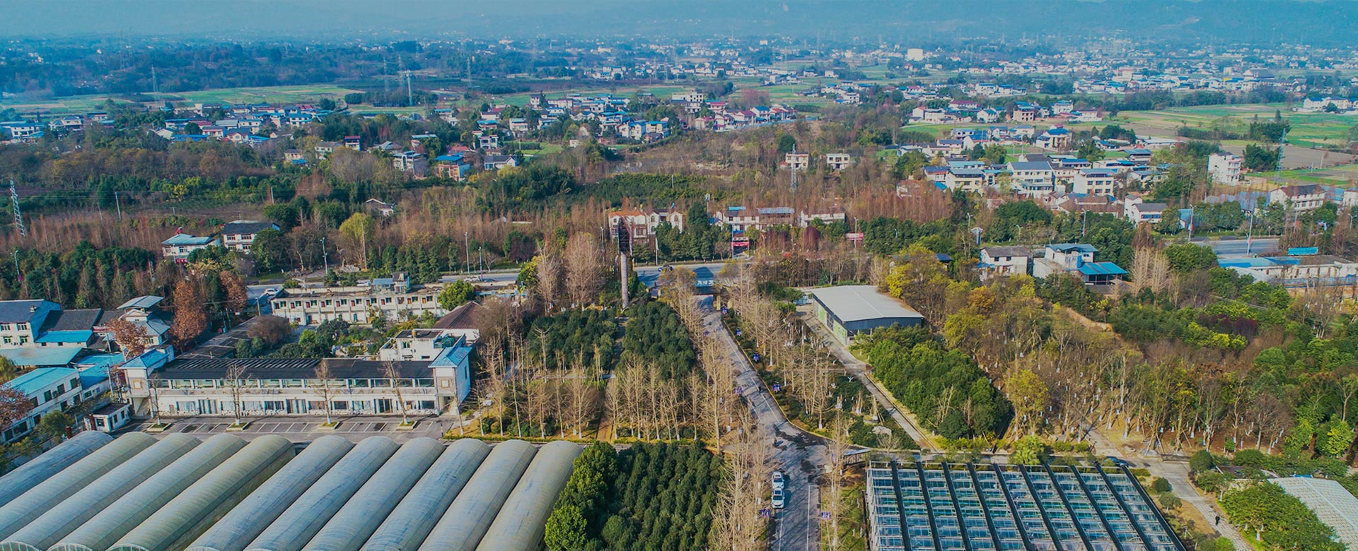 蔬菜品種育苗、示范推廣、基地種植、農(nóng)產(chǎn)品生產(chǎn)、加工 、銷(xiāo)售
